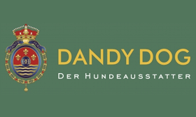 Dandy-Dog-gutscheincodes